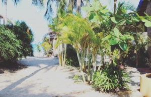 jungle-beach-viet-nam-nhatrang-review