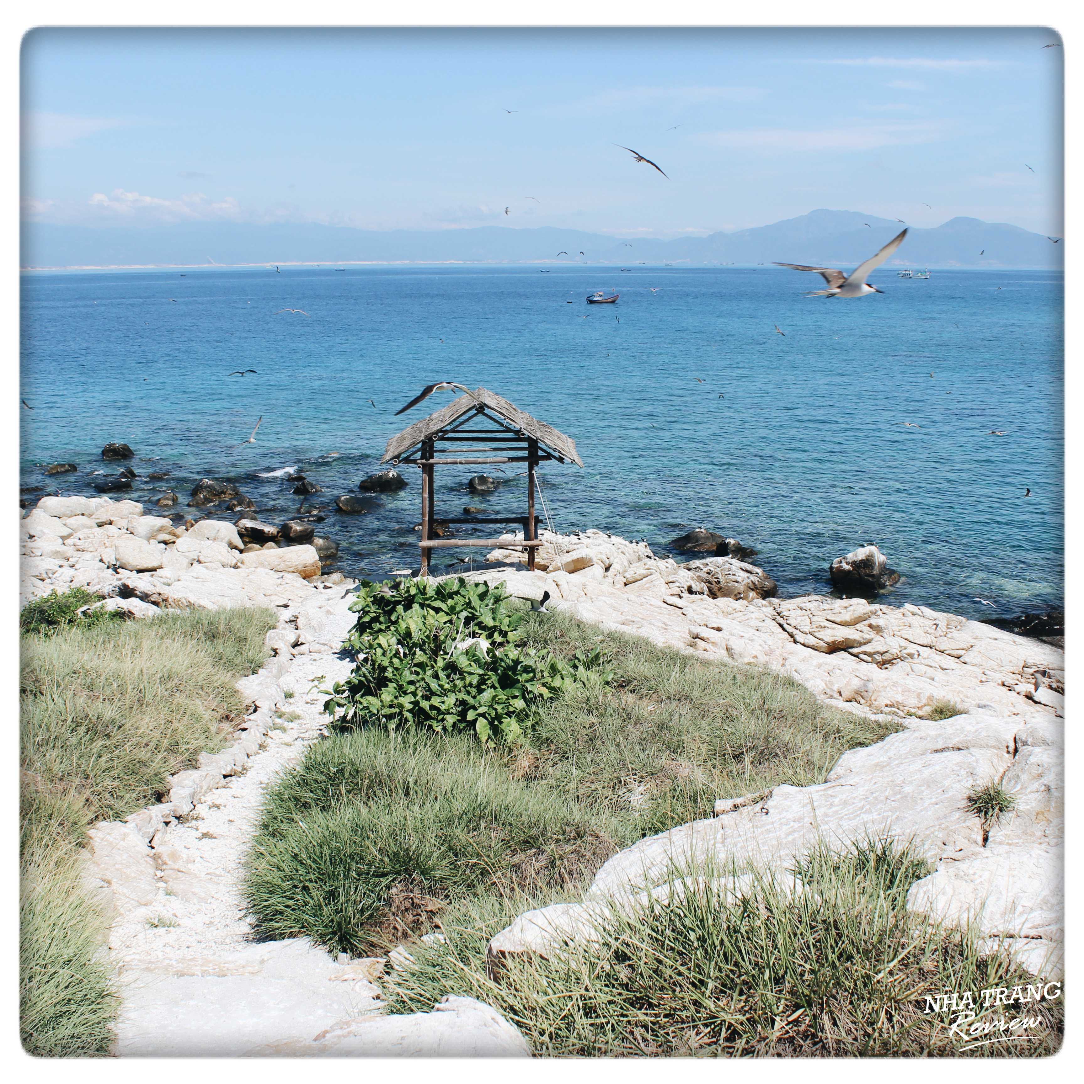 đảo yến hòn nội nha trang